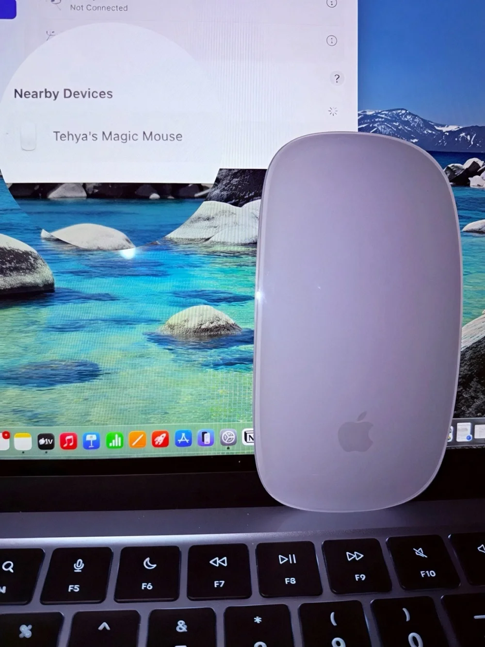 Apple Magic Mouse in White